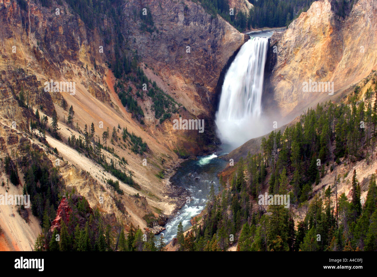 Yellowstone inférieur falls, parc national de Yellowstone, Wyoming Banque D'Images