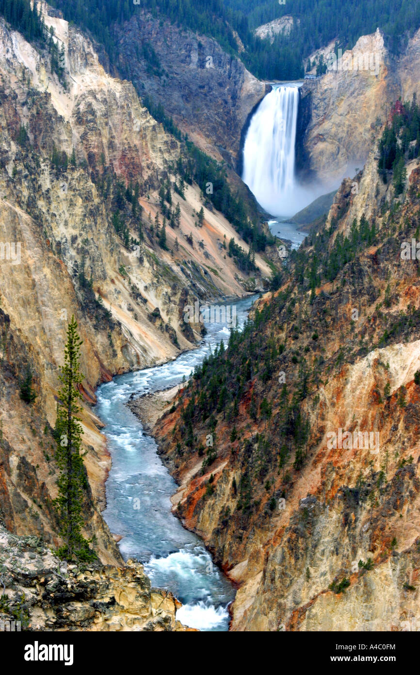 Yellowstone inférieur falls, parc national de Yellowstone, Wyoming Banque D'Images