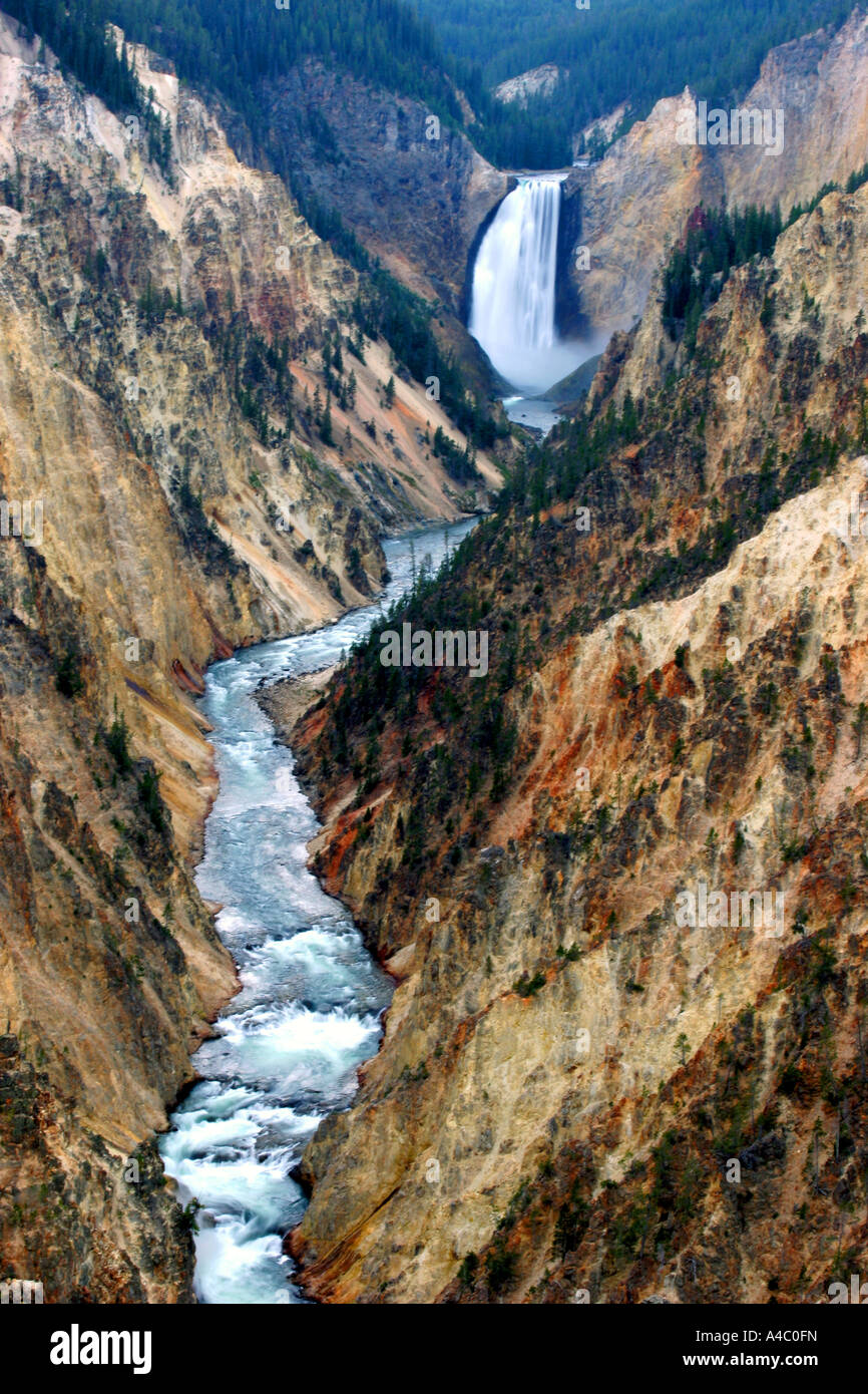 Yellowstone inférieur falls, parc national de Yellowstone, Wyoming Banque D'Images
