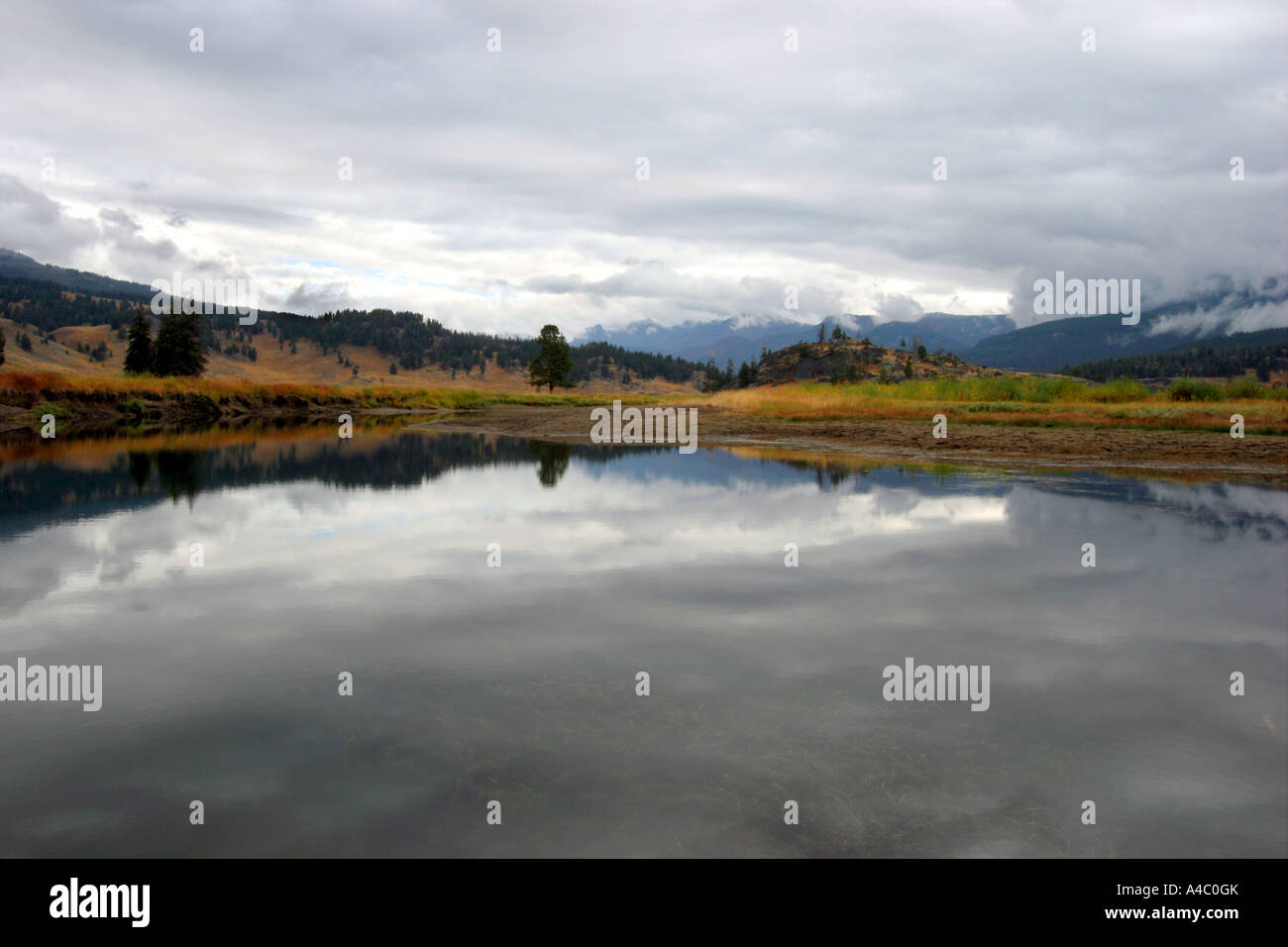 Slough creek, parc national de Yellowstone, Wyoming Banque D'Images