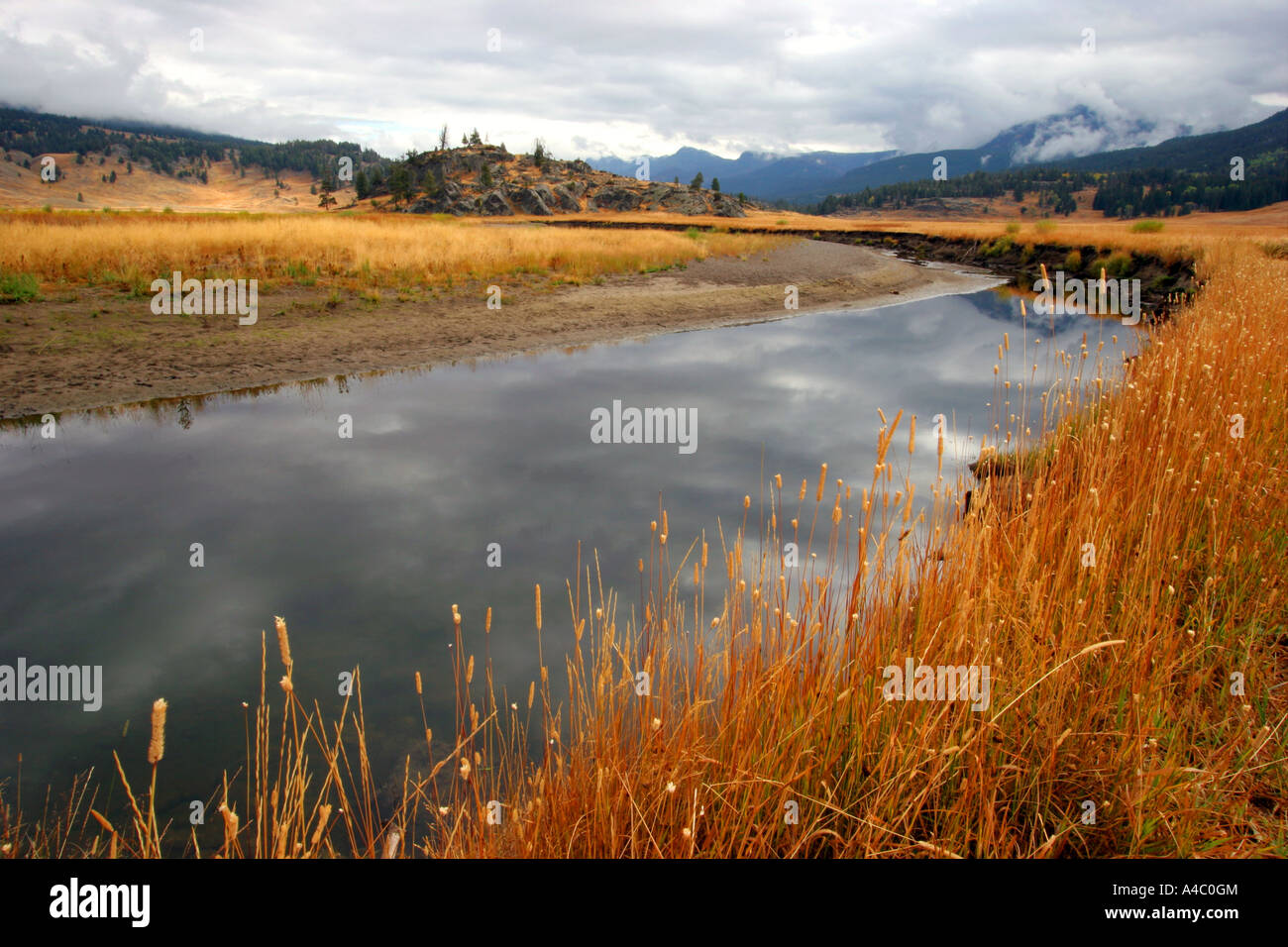 Slough creek, parc national de Yellowstone, Wyoming Banque D'Images