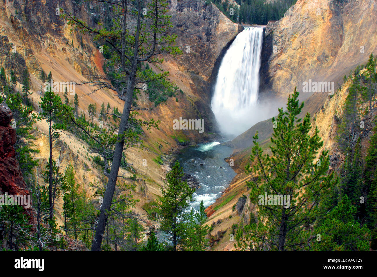 Yellowstone inférieur falls, parc national de Yellowstone, Wyoming Banque D'Images