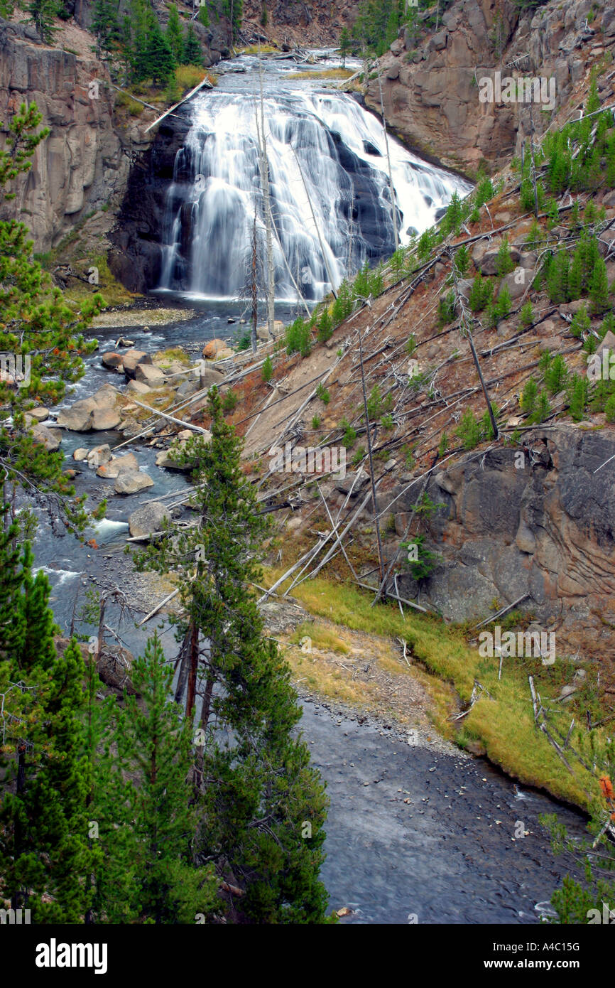 Gibbon falls, parc national de Yellowstone, Wyoming Banque D'Images