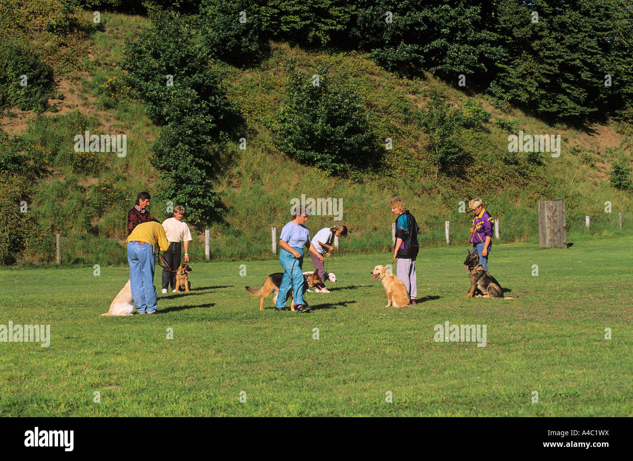 L'éducation de chien : les personnes ayant des chiens sur la masse de forage Banque D'Images