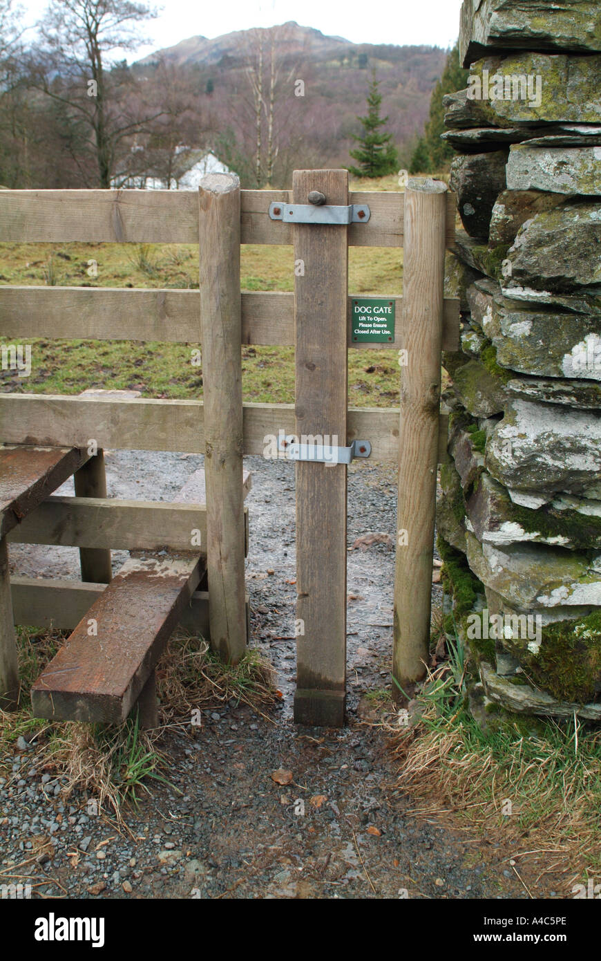 Porte de chien à côté d'un stile dans le Lake District, Cumbria, England, UK. Banque D'Images