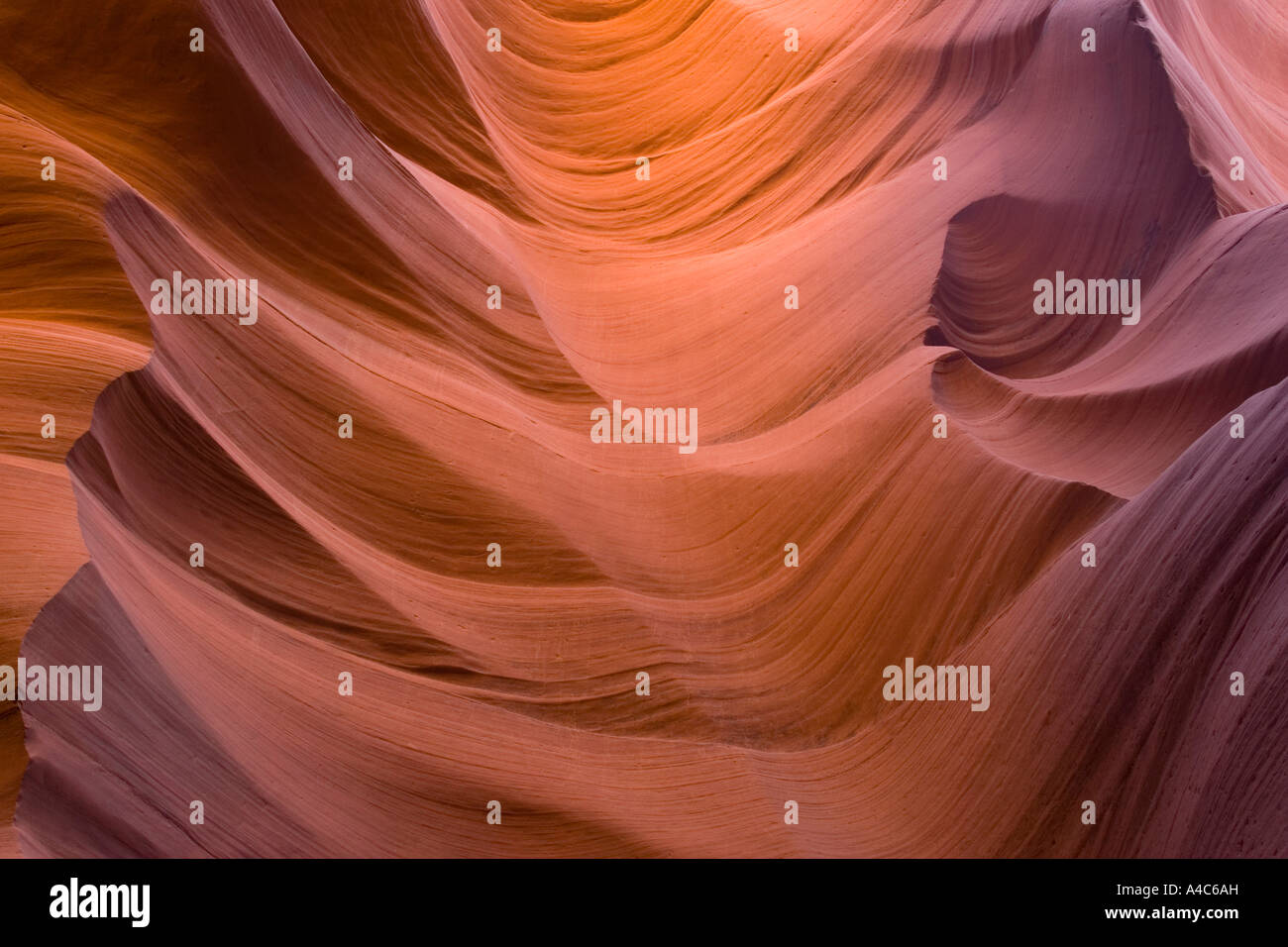 Lower Antelope Canyon, Arizona, USA Banque D'Images