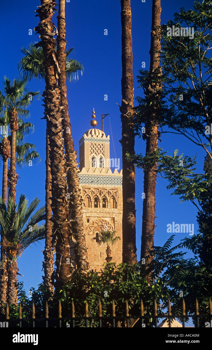 Mosquée Koutoubia Maroc Marrakech Banque D'Images