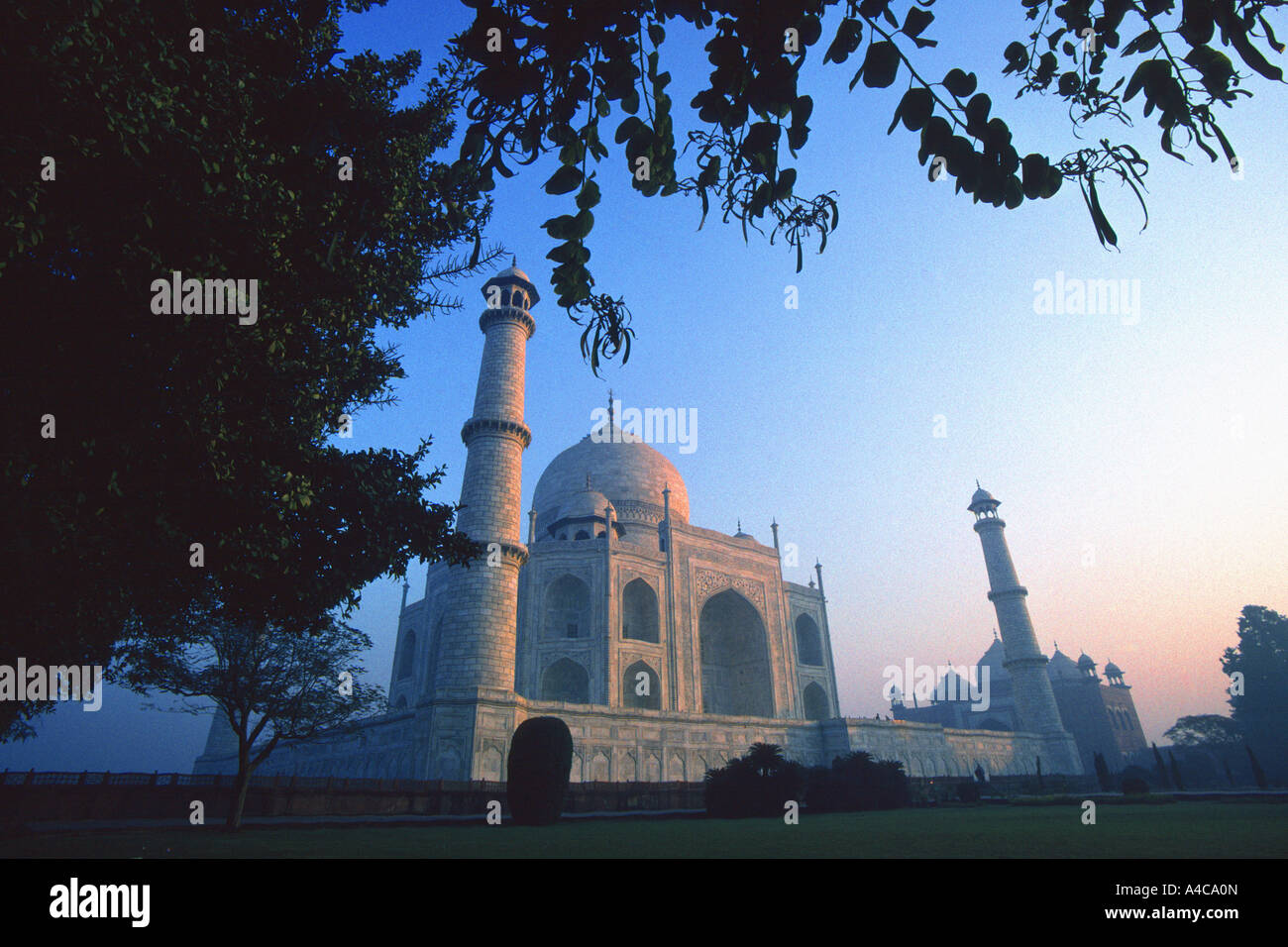 Lever du soleil au Taj Mahal, Agra, Inde Banque D'Images