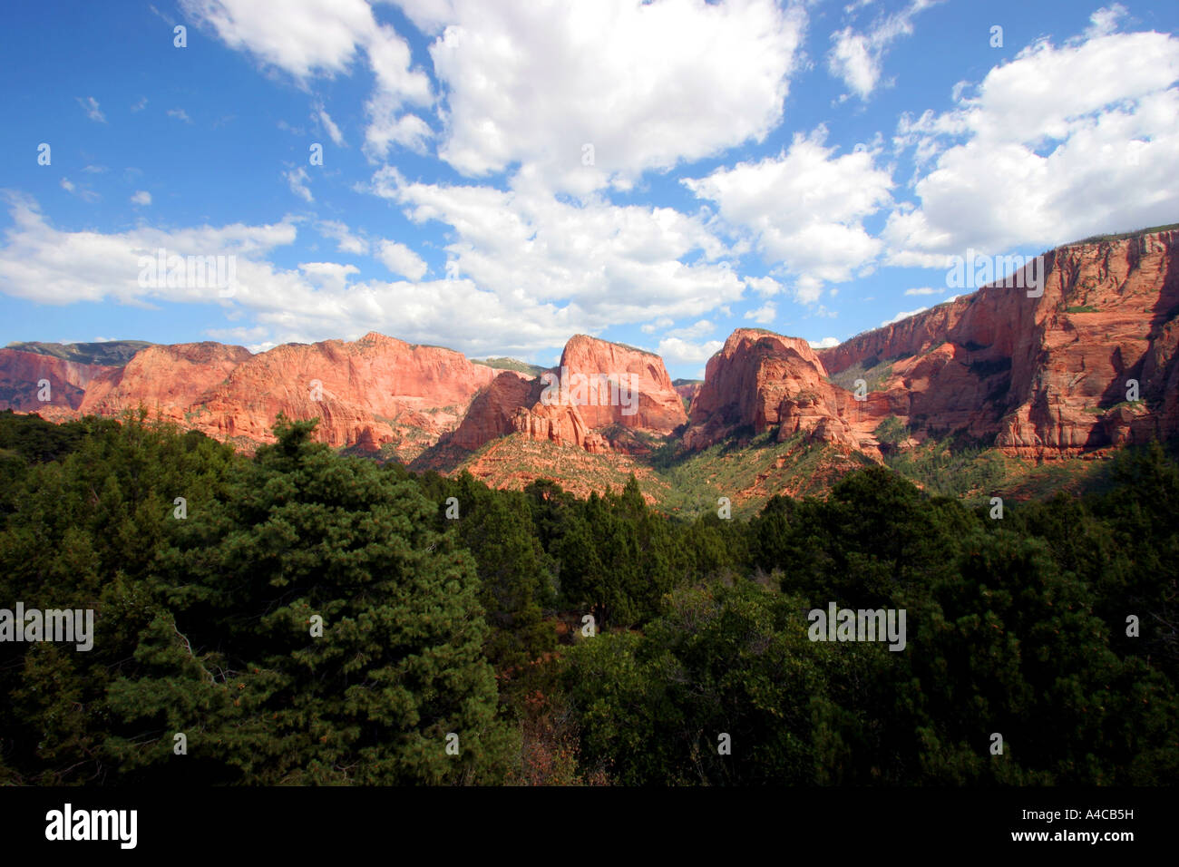 Kolob Canyon, Zion National Park, Utah Banque D'Images