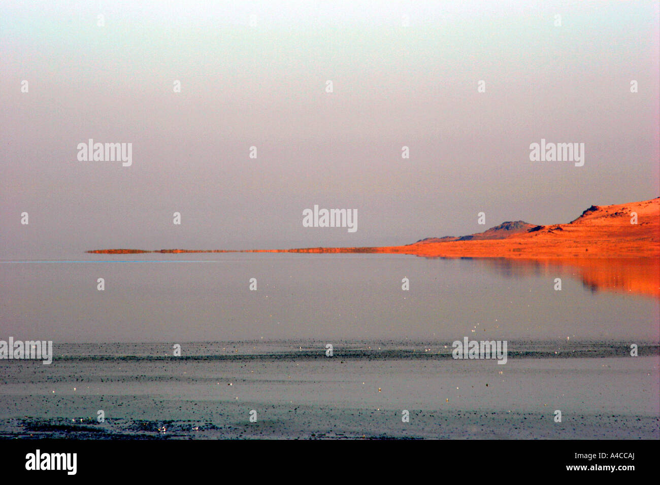 Grand lac salé en Utah, sunrise Banque D'Images