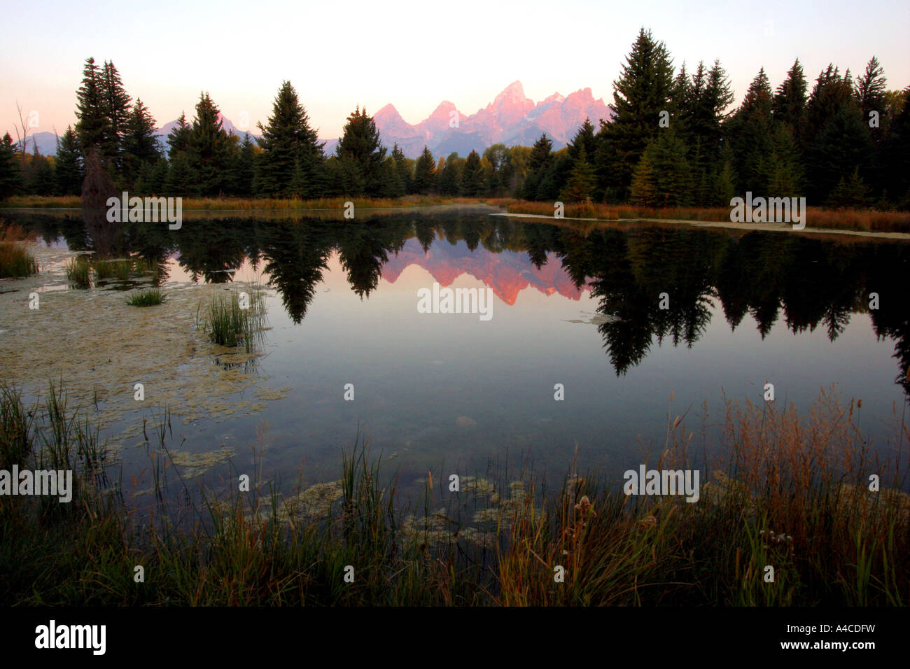 Le lever du soleil sur la Grand Tetons Banque D'Images