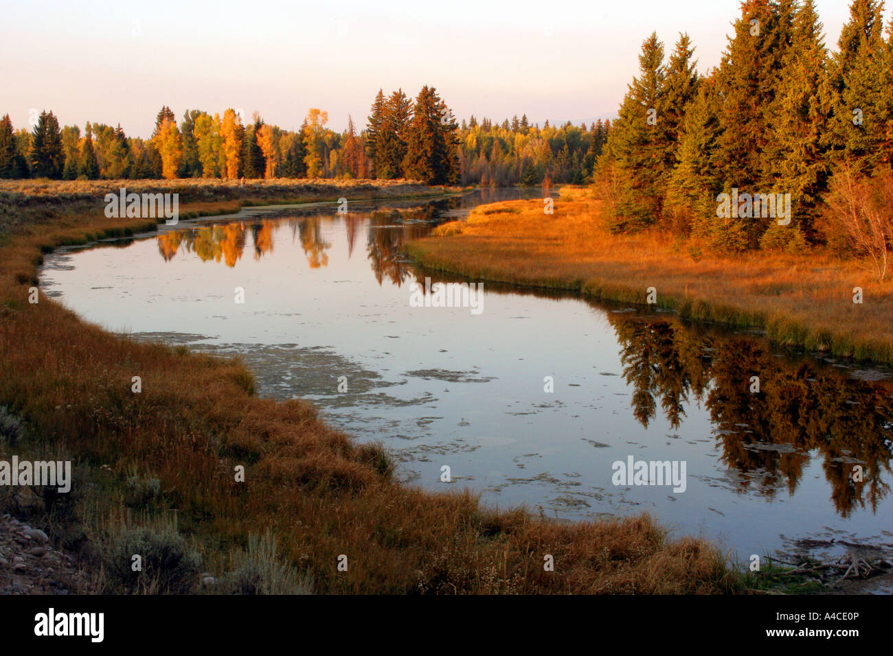 Atterrissage schwabacher lever du soleil, le Grand Teton National Park Banque D'Images