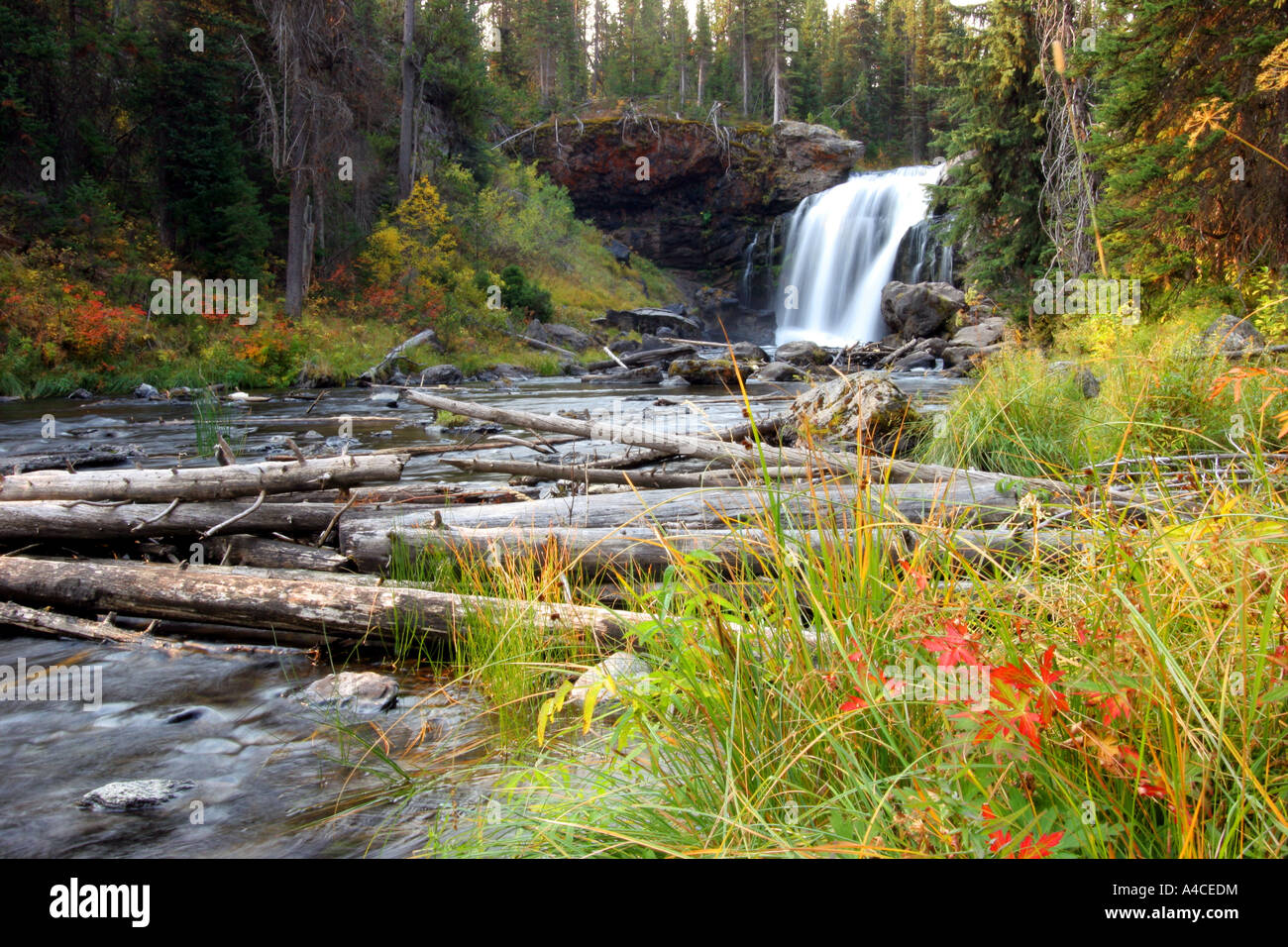 Moose falls, parc national de Yellowstone Banque D'Images