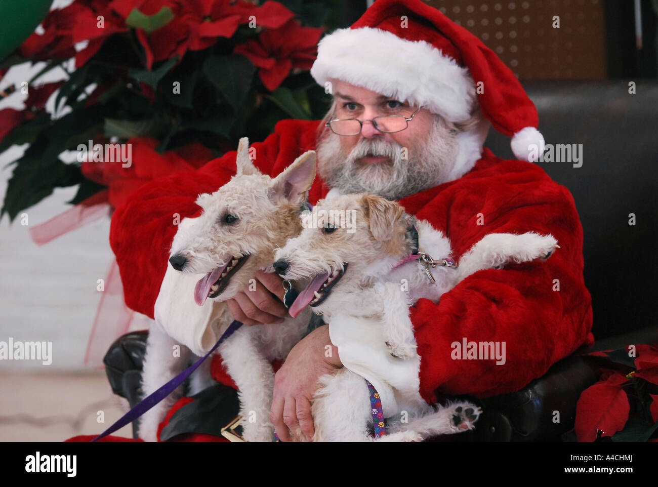 Le père noël Banque de photographies et d’images à haute résolution Alamy