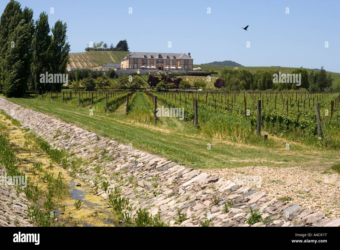 Domaine Carneros Taittinger et partenaires Californie Sonoma Winery Banque D'Images