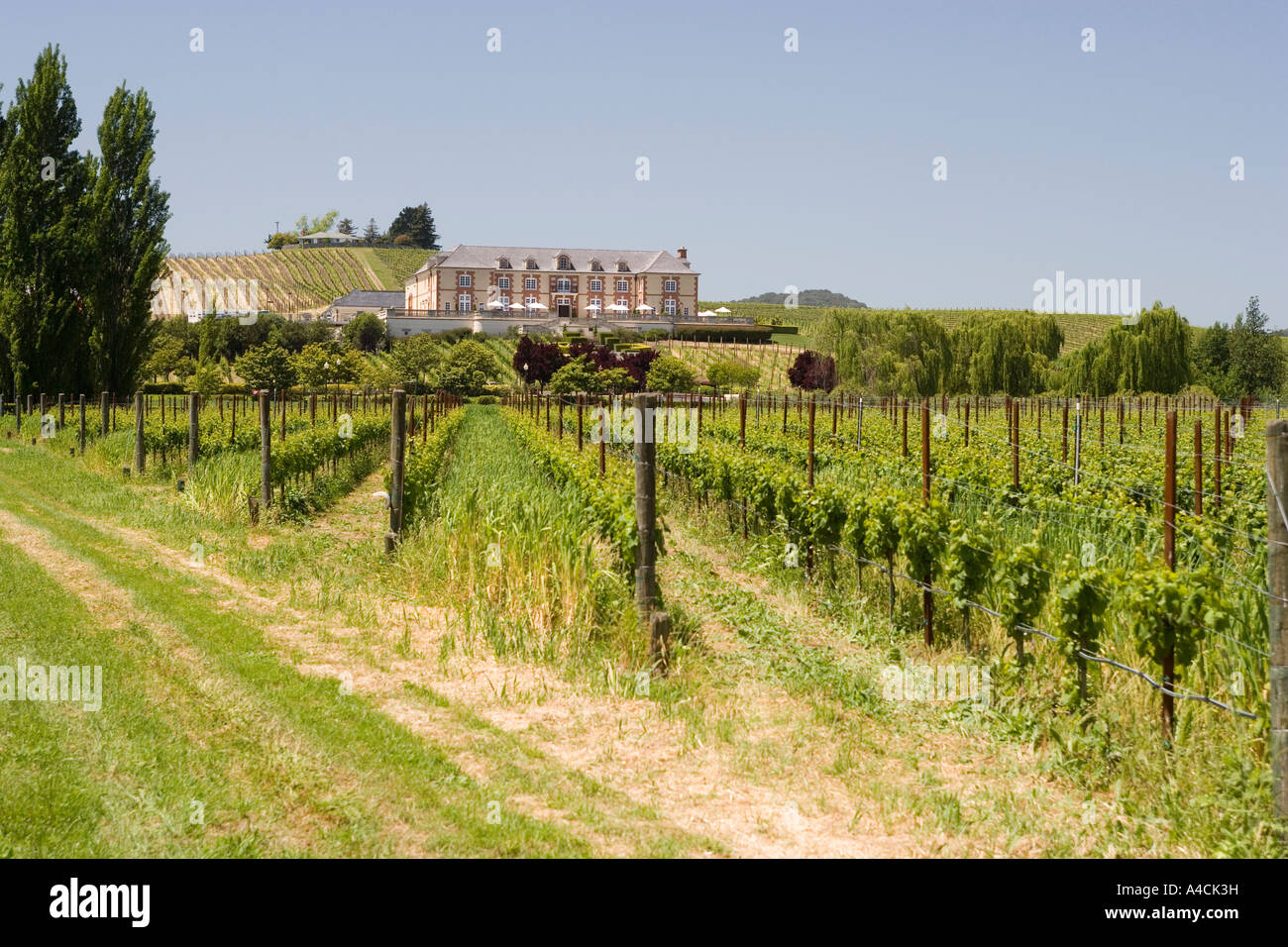 Domaine Carneros Taittinger et partenaires Californie Sonoma Winery Banque D'Images