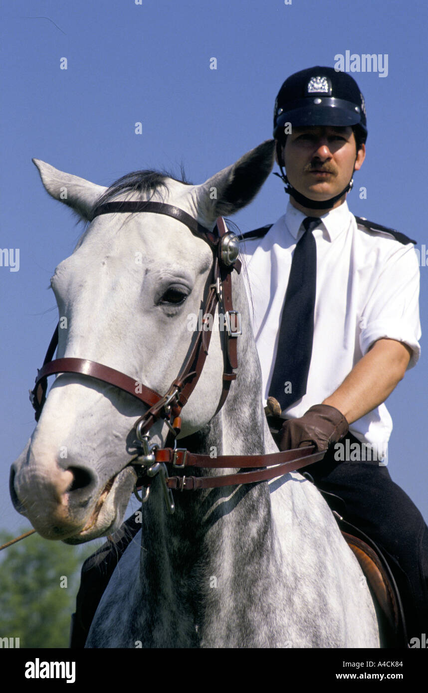 La formation des chevaux de la police Hounslow, London. Les chevaux de la police utilisée à Trafalgar square poll tax riot 31.3.90. Banque D'Images