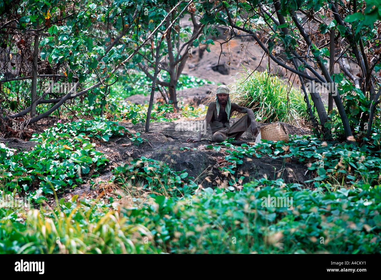 Un Matupit Torres prend une pause de l'excavation de Megapodes oeufs au pied du Mont volcan Tuvurvur Banque D'Images