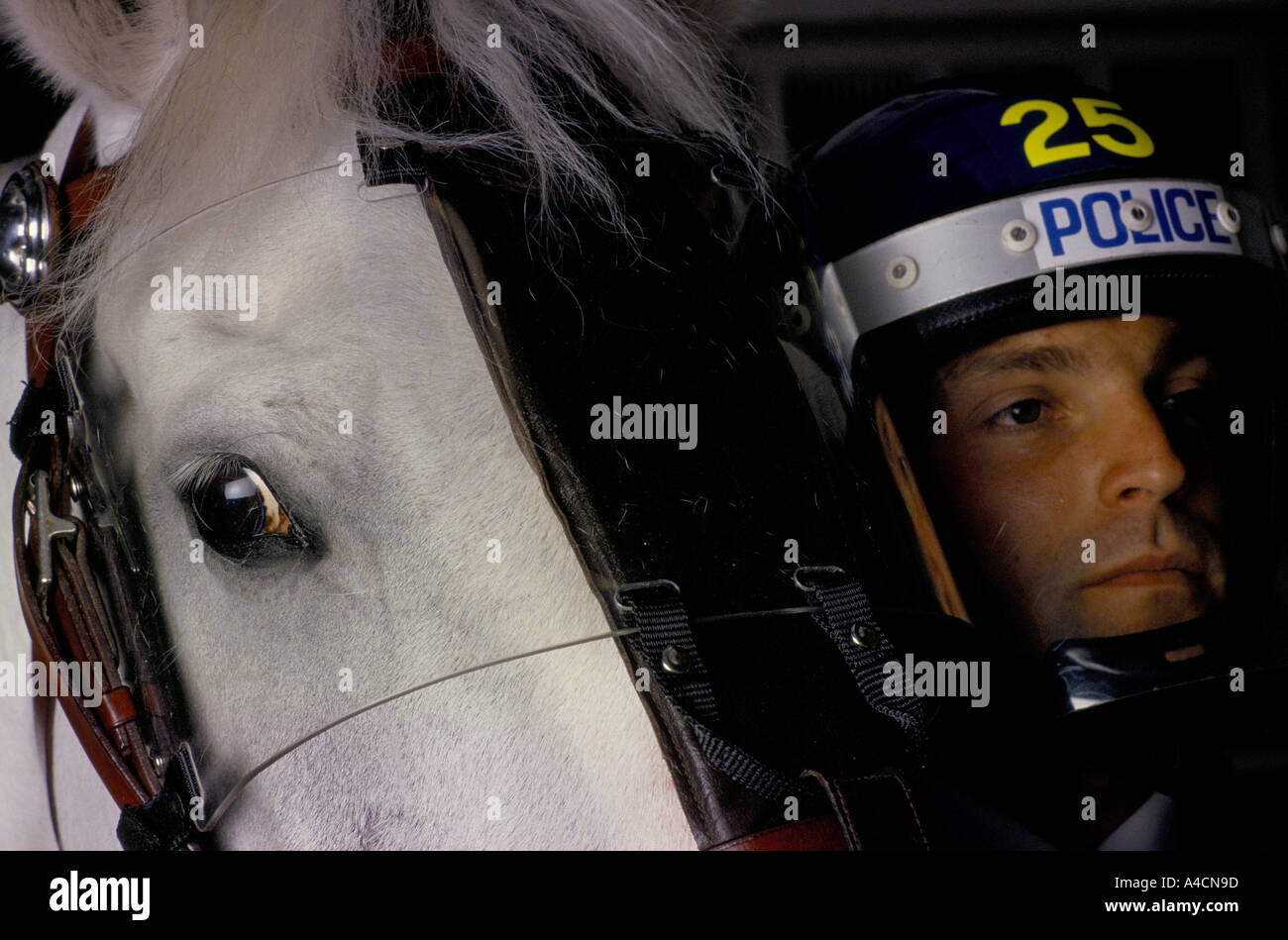 La formation des chevaux de la police Hounslow, London. Les chevaux de la police utilisée à Trafalgar square poll tax riot 31.3.90. L'homme et le cheval de la police en tenue de protection. Banque D'Images