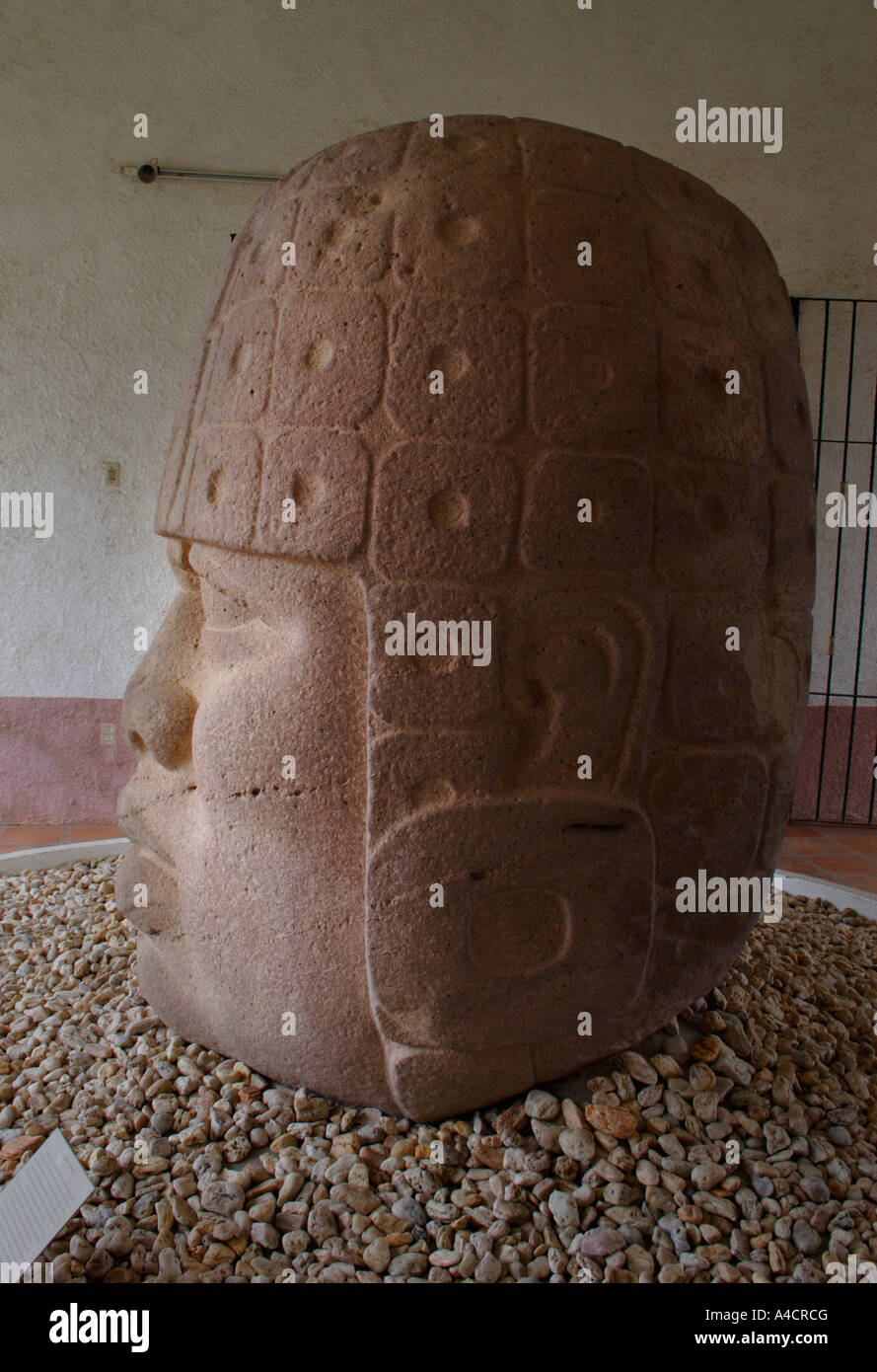 Sculpture de basalte, chef 10, musée à San Lorenzo Veracruz, Mexique, 1200 avant J.-C. à 900 av. J.-C. culture olmèque, l'Etat de Veracruz. Banque D'Images