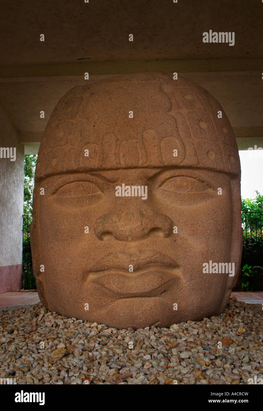 Sculpture de basalte, chef 10, musée à San Lorenzo au Mexique, 1200BC à 900 BC culture olmèque, l'Etat de Veracruz. Banque D'Images