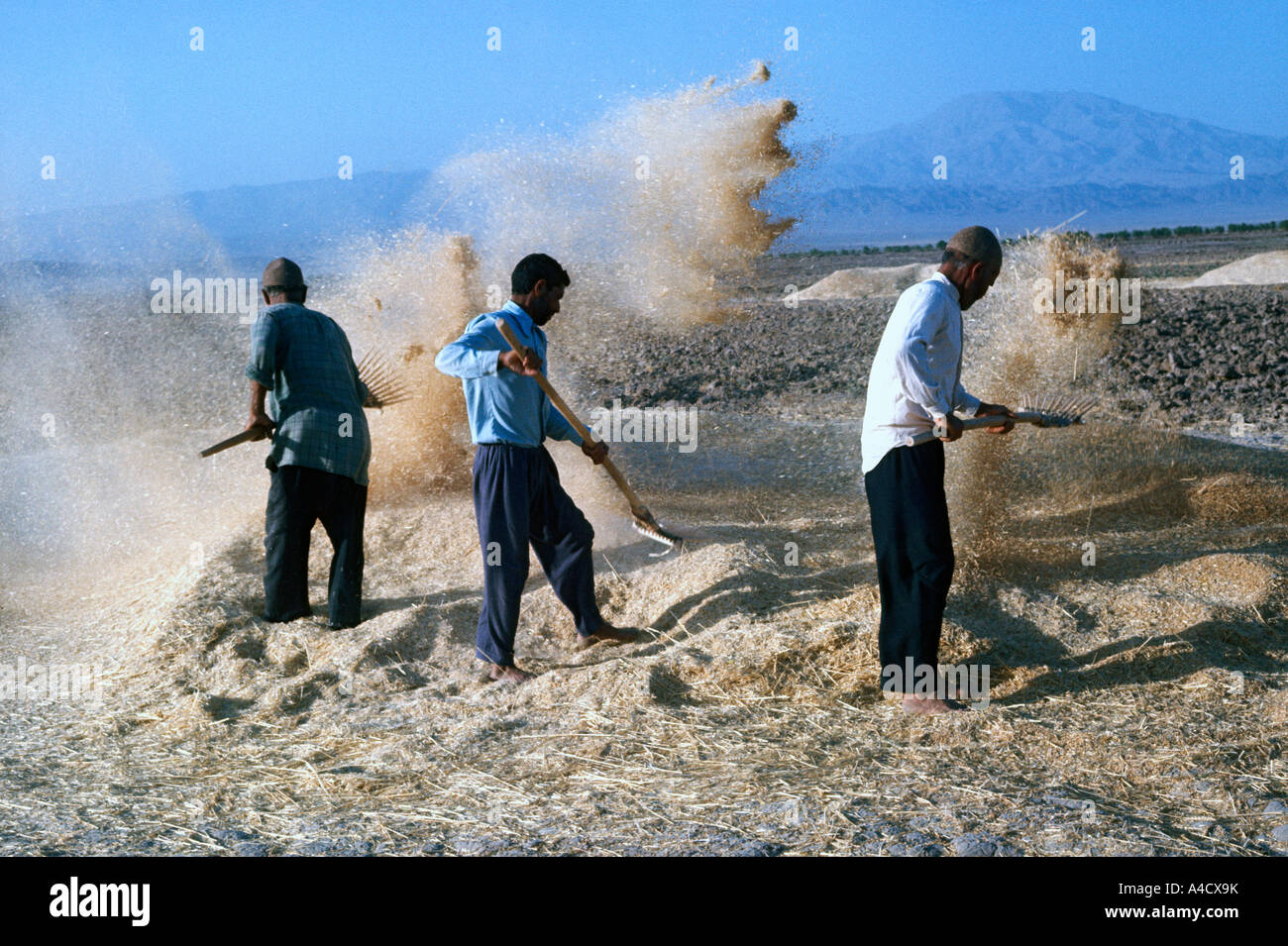 Trois hommes le vannage, Khurasan province, l'Iran Banque D'Images
