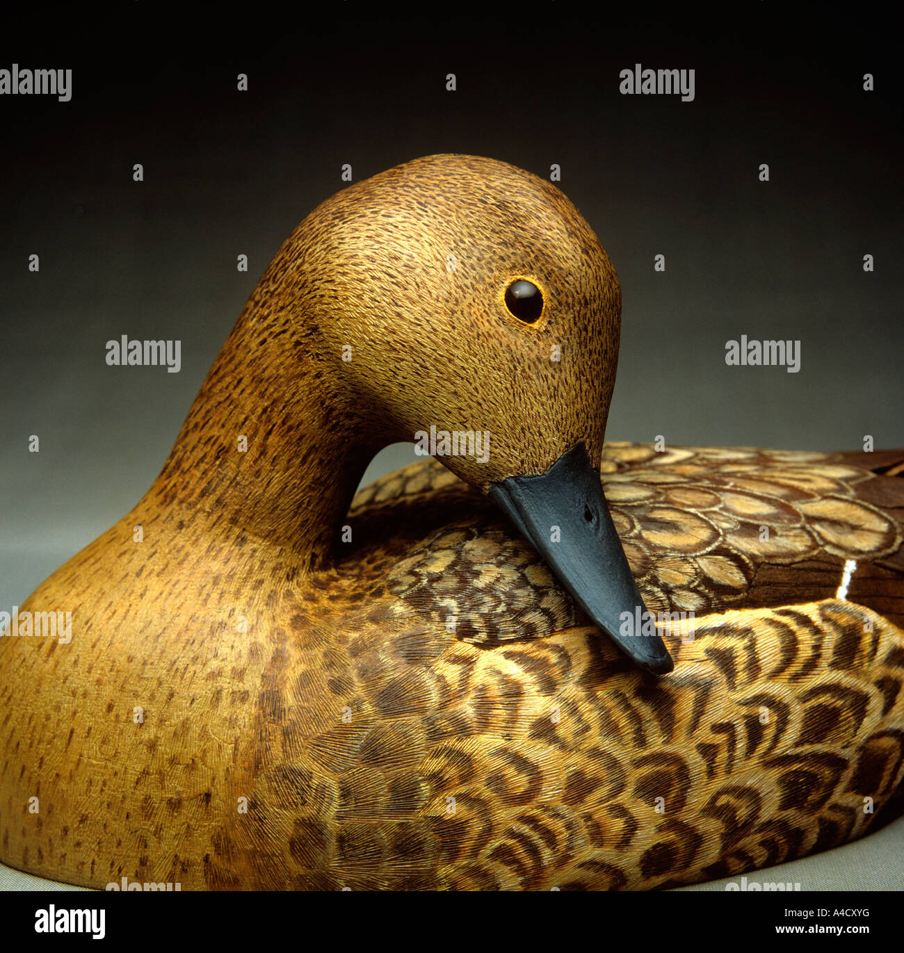 Sculpture de canard bois Banque de photographies et d'images à haute  résolution - Alamy