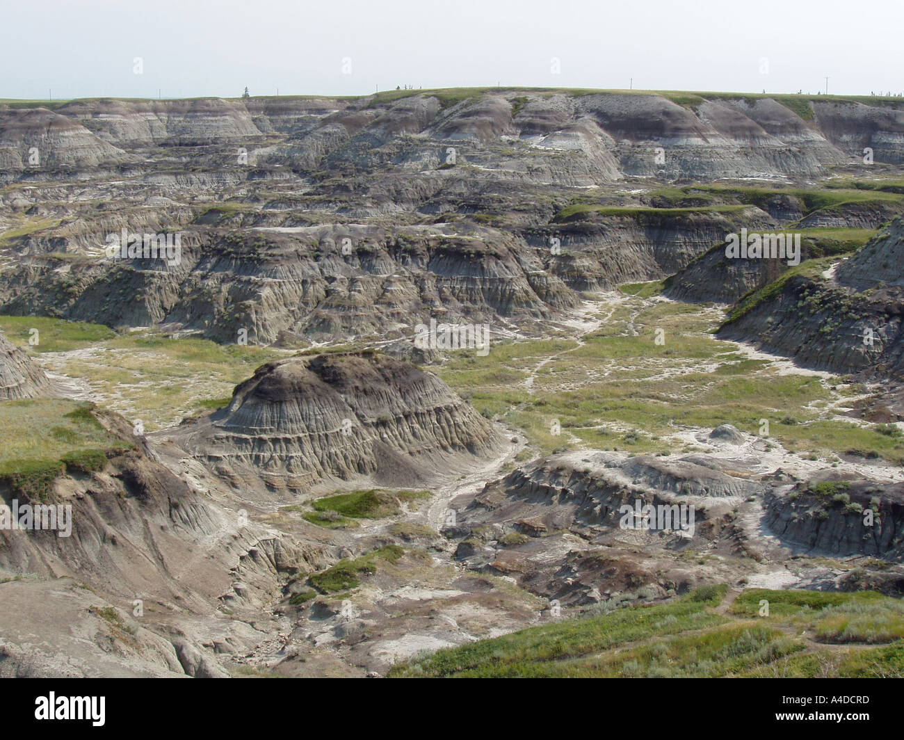 Le parc provincial Dinosaur, en Alberta, Canada Banque D'Images