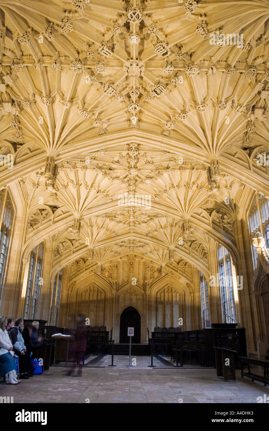 Lierne plafond voûté - Divinity School - Oxford Banque D'Images