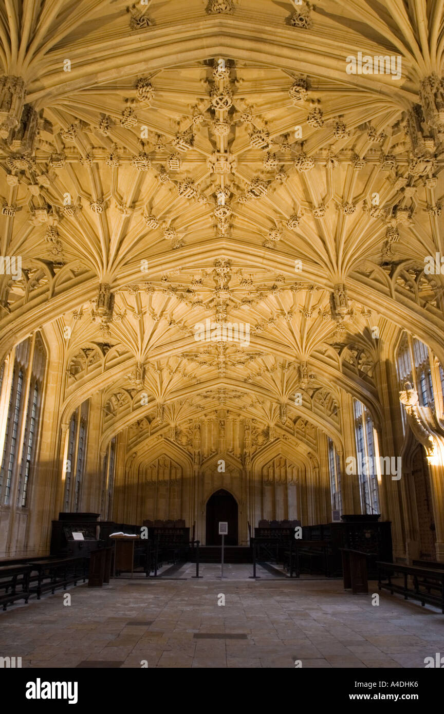 Lierne plafond voûté - Divinity School - Oxford Banque D'Images