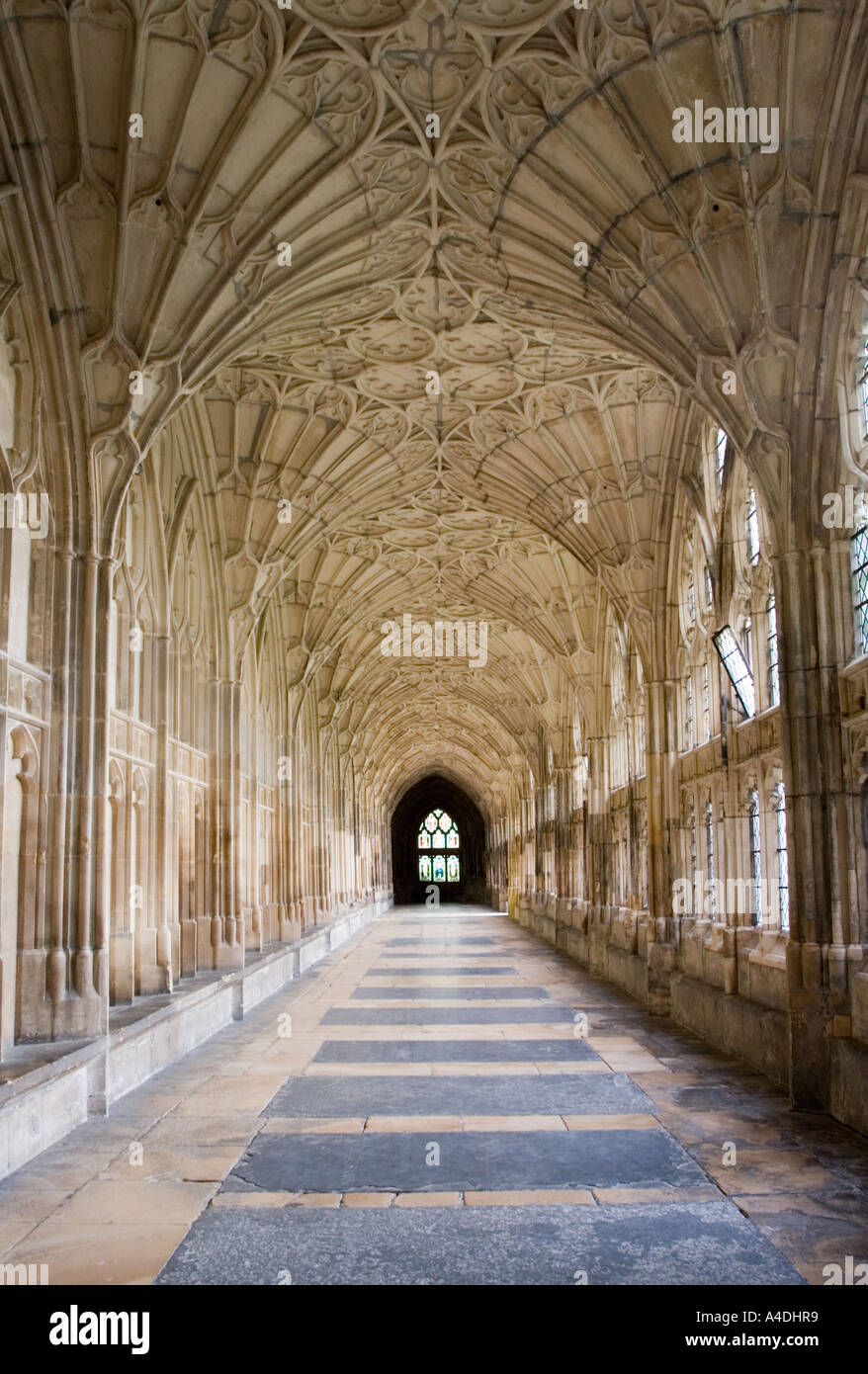 Cloître de la cathédrale de Gloucester - Gloucestershire Banque D'Images