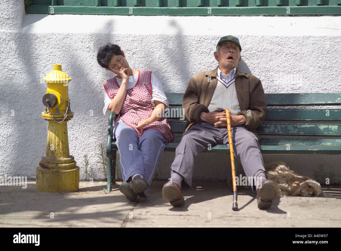 Deux personnes et un chien endormi sur un banc dans une rue de Valparaiso au Chili, deuxième plus grande ville près de Santiago du Chili Amérique du Sud Banque D'Images