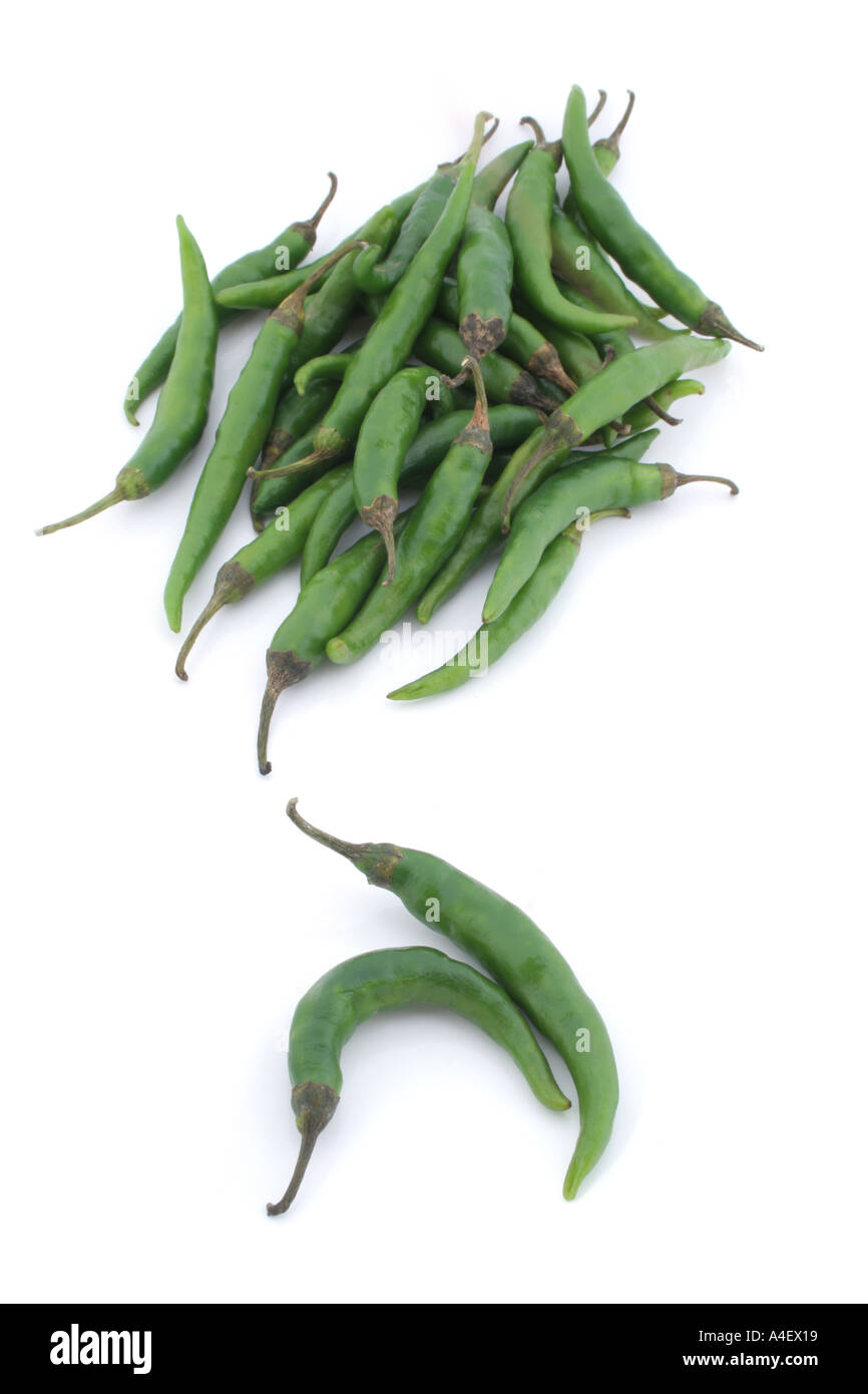 Birds Eye thaï Chili still life on a white background Banque D'Images