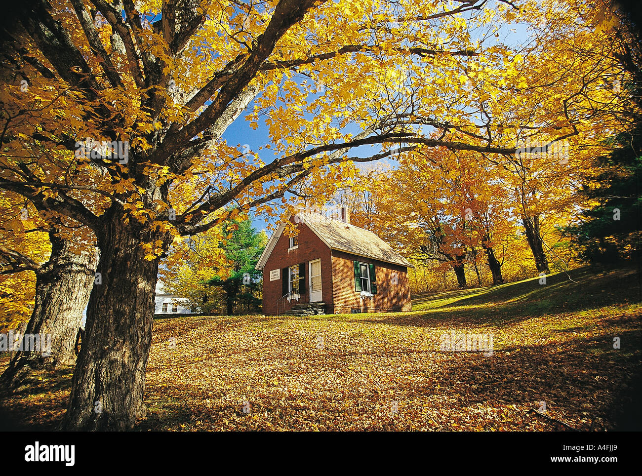 Feuillage d'automne dans la région de Montpelier dans le Vermont. Banque D'Images