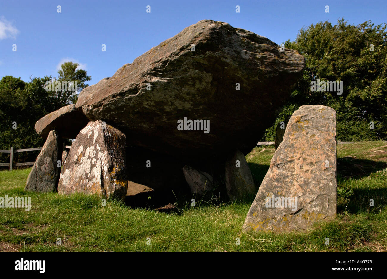 Arthurs Stone une chambre funéraire situé sur une colline près de Golden Valley Dorstone Herefordshire Angleterre UK Banque D'Images