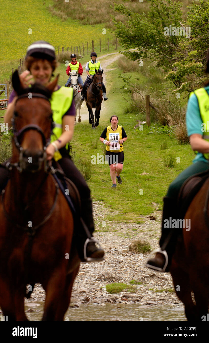 Porteur et les chevaux traversent la rivière Ford à Abergwesyn dans l'homme v course de chevaux à Llanwrtyd Wells Powys Pays de Galles UK Banque D'Images