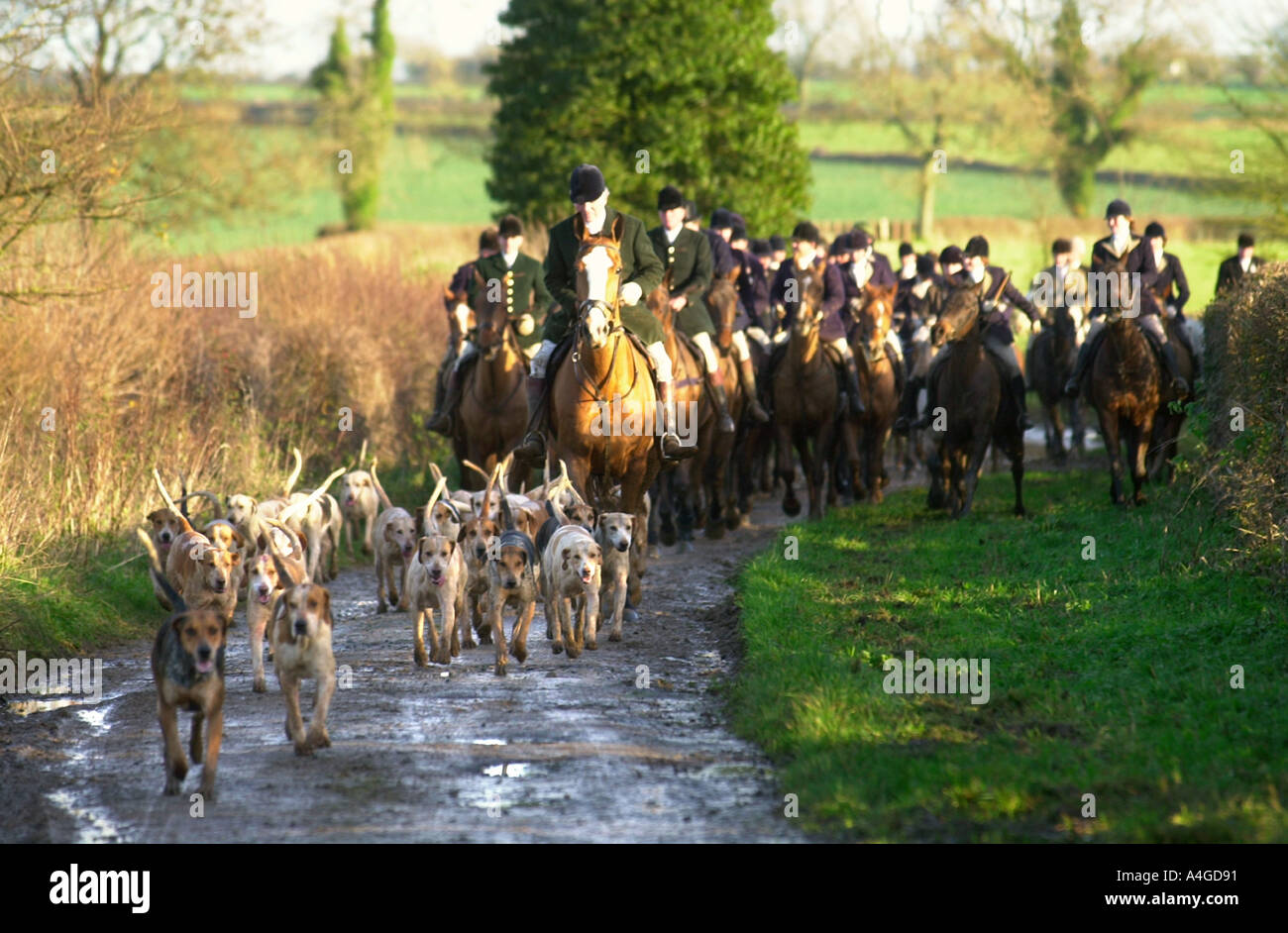 MASTER COMMUN DE LA BEAUFORT HUNT LE CAPITAINE IAN FARQUHAR mène les cavaliers AVEC LA CHASSE DE BEAUFORT DANS LE GLOUCESTERSHIRE UK Banque D'Images