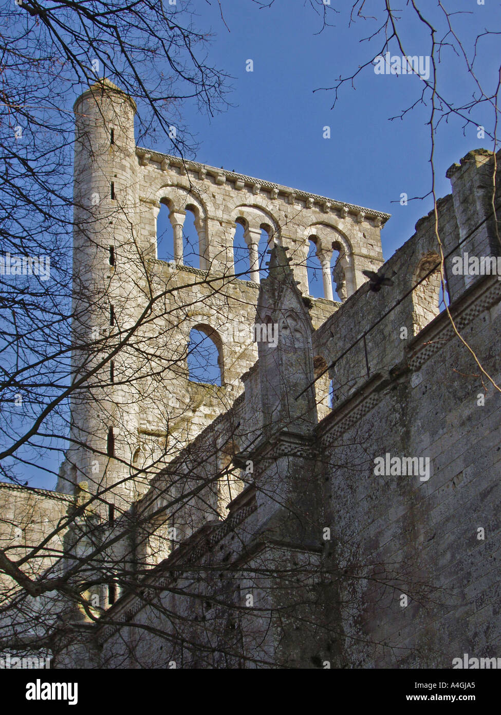 L'Abbaye Abbaye de Jumièges Rouen Calvados Normandie France Europe Banque D'Images