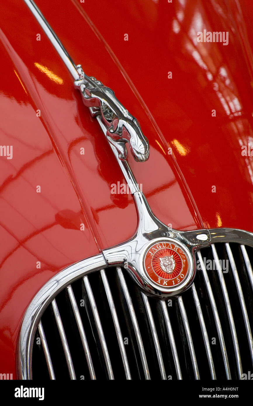 La figure et son emblème dans le capot d'une jaguar XK 150 de 1957 Banque D'Images
