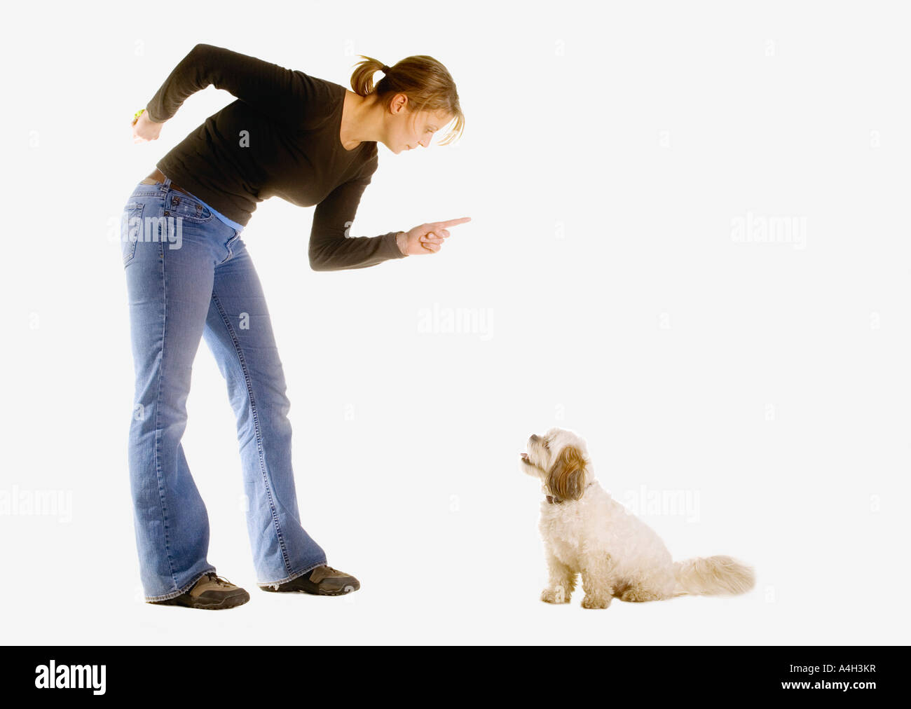 Dog owner Banque de photographies et d’images à haute résolution - Alamy