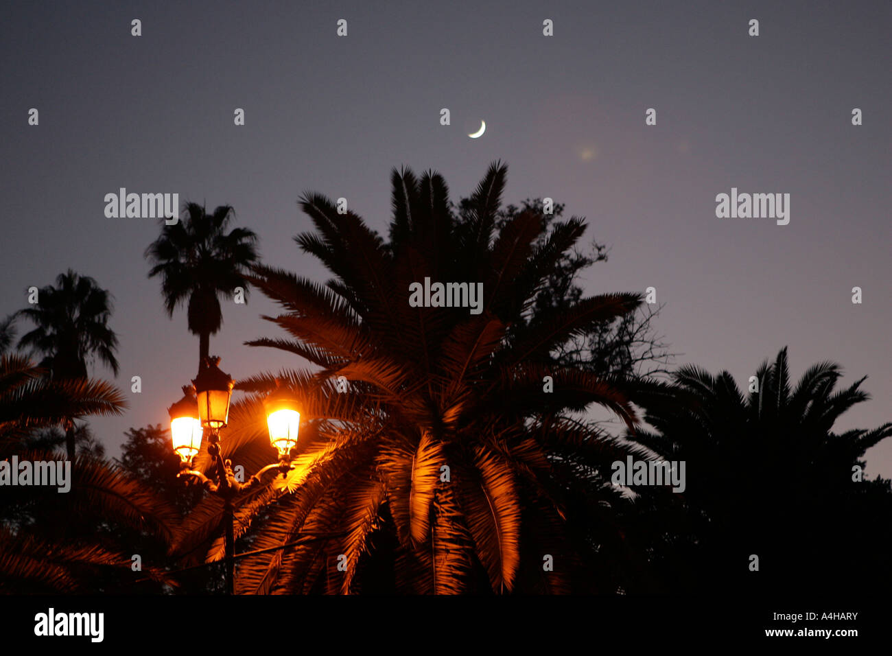 Nuit à Marrakech Maroc Banque D'Images