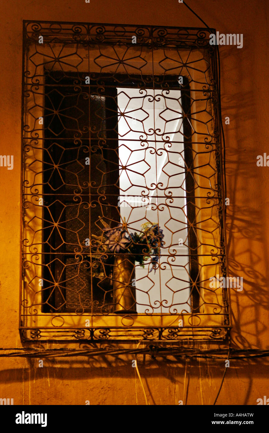 Marrakech Maroc fenêtre  + Fleurs de nuit Banque D'Images