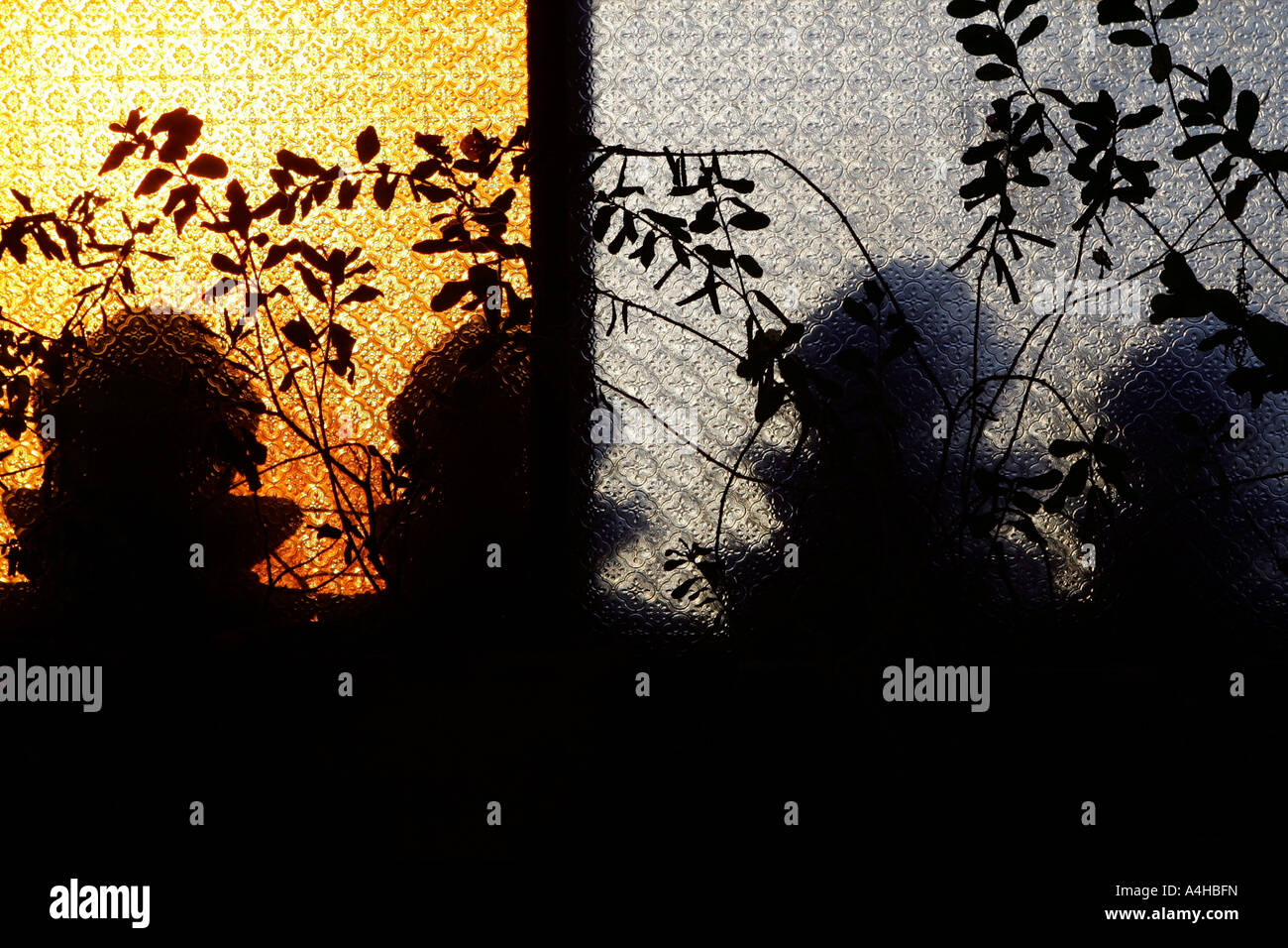 Cache-pots et les ombres, Marrakech, Maroc Banque D'Images