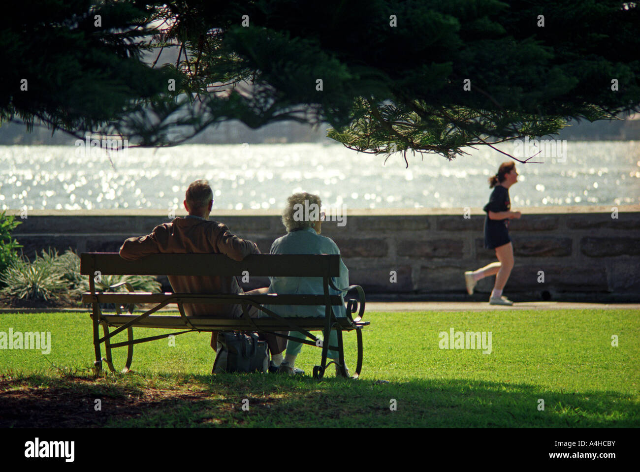 Le jogging, un couple de personnes âgées watch un jeune jogger dans le parc, Sydney, Australie Banque D'Images