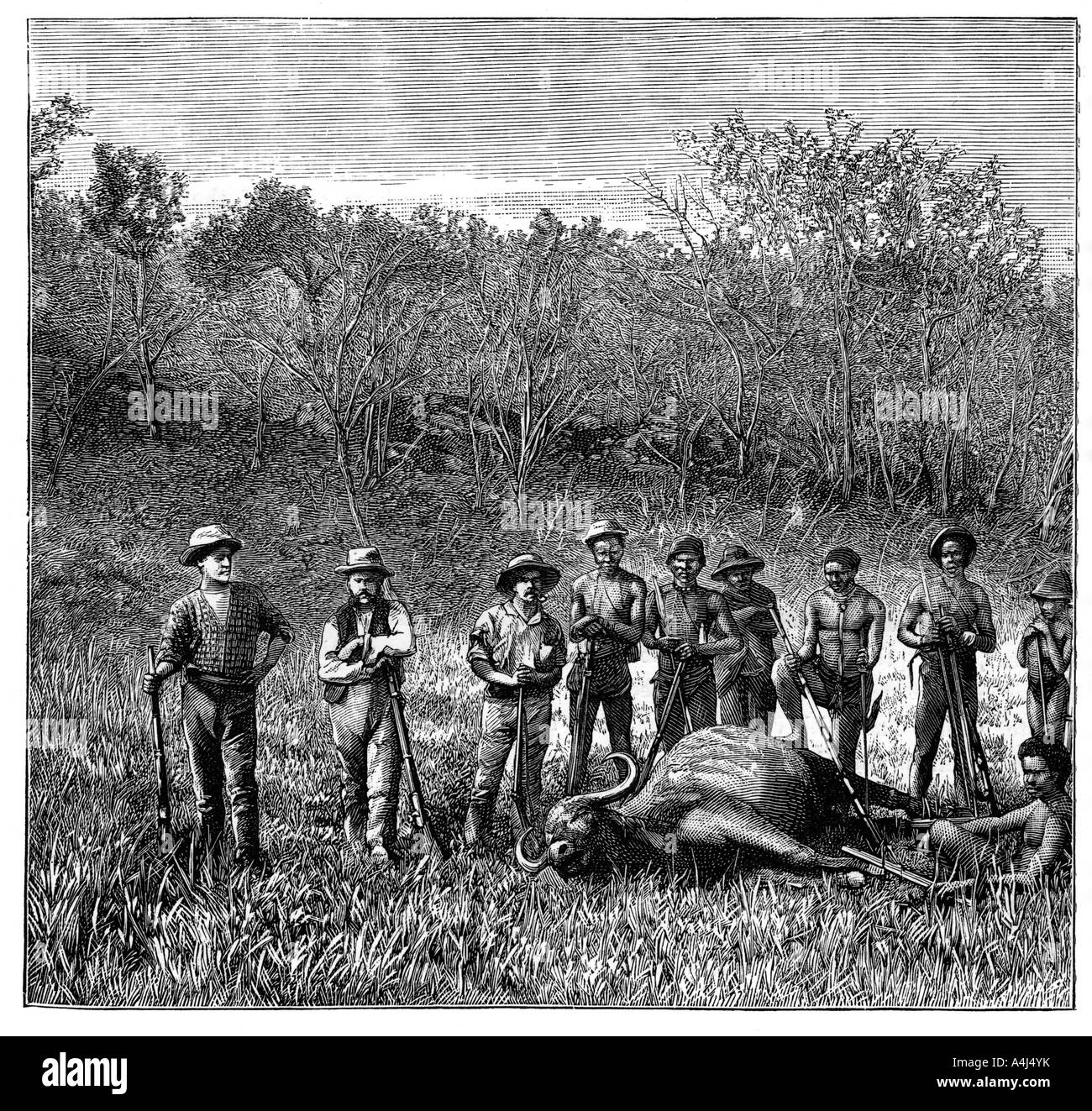 Chasseurs de bisons dans le Transvaal, en Afrique du Sud, c1890. Artiste : Inconnu Banque D'Images