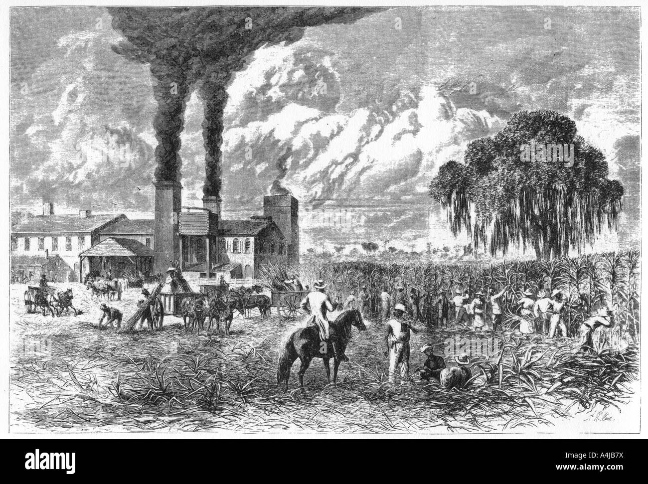 Plantation de sucre, La Nouvelle-Orléans, 1870.Artiste : A R Ward Banque D'Images