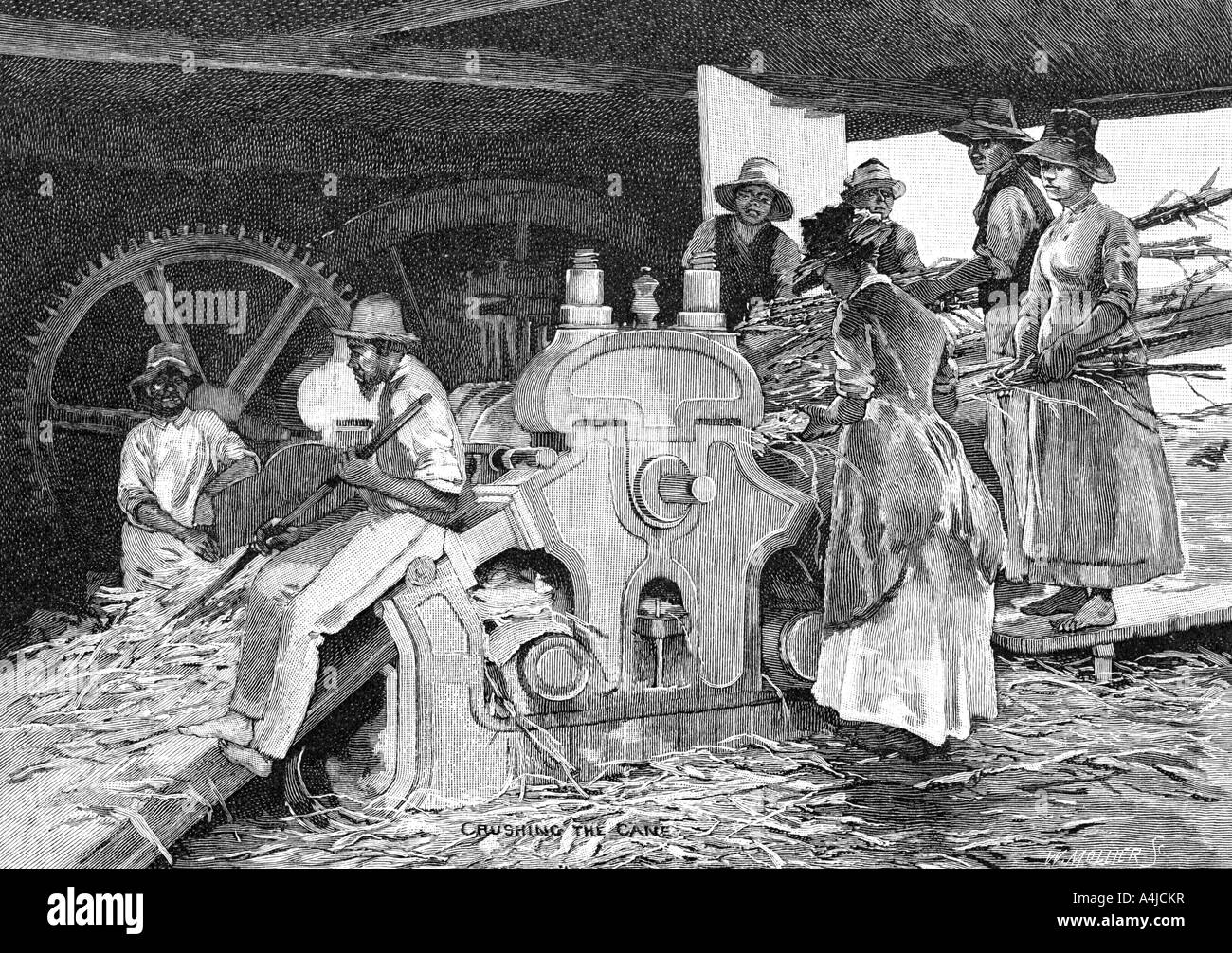 L'écrasement de la canne à sucre, 1886.Artiste : Mollier W Banque D'Images