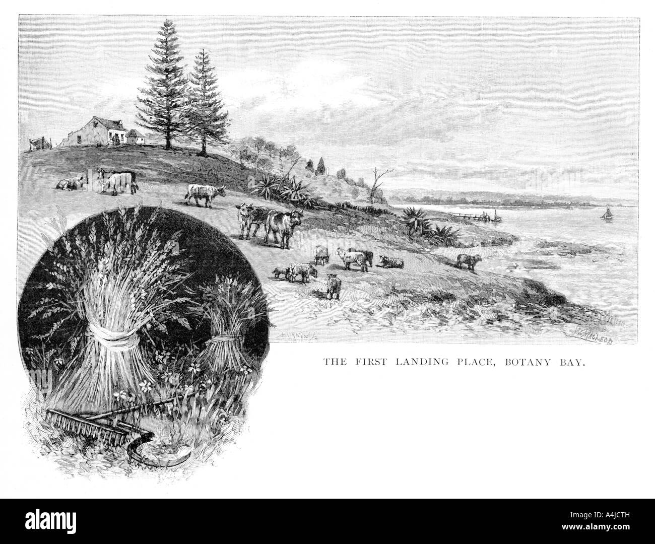 Le premier atterrissage, Botany Bay, New South Wales, Australie, 1886.Artiste : W Macleod Banque D'Images Le premier atterrissage, Botany Bay, New South Wales, Australie, 1886.Artiste : W Macleod Banque D'Images