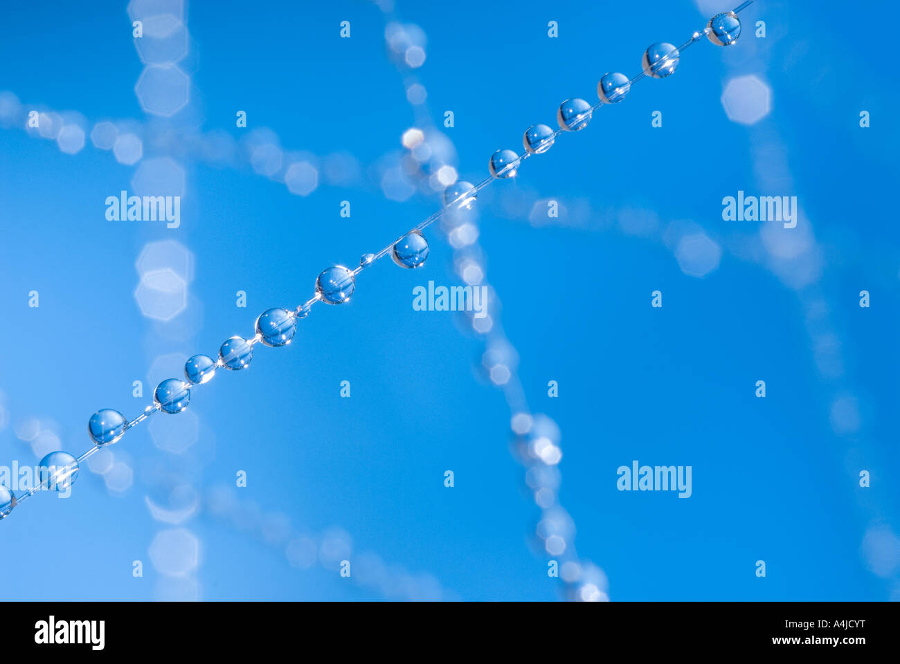 Beaucoup de petites gouttes d'eau bleu suspendu à un cordon fin comme les petites sphères sphere boules perles perles transparence transparent Banque D'Images