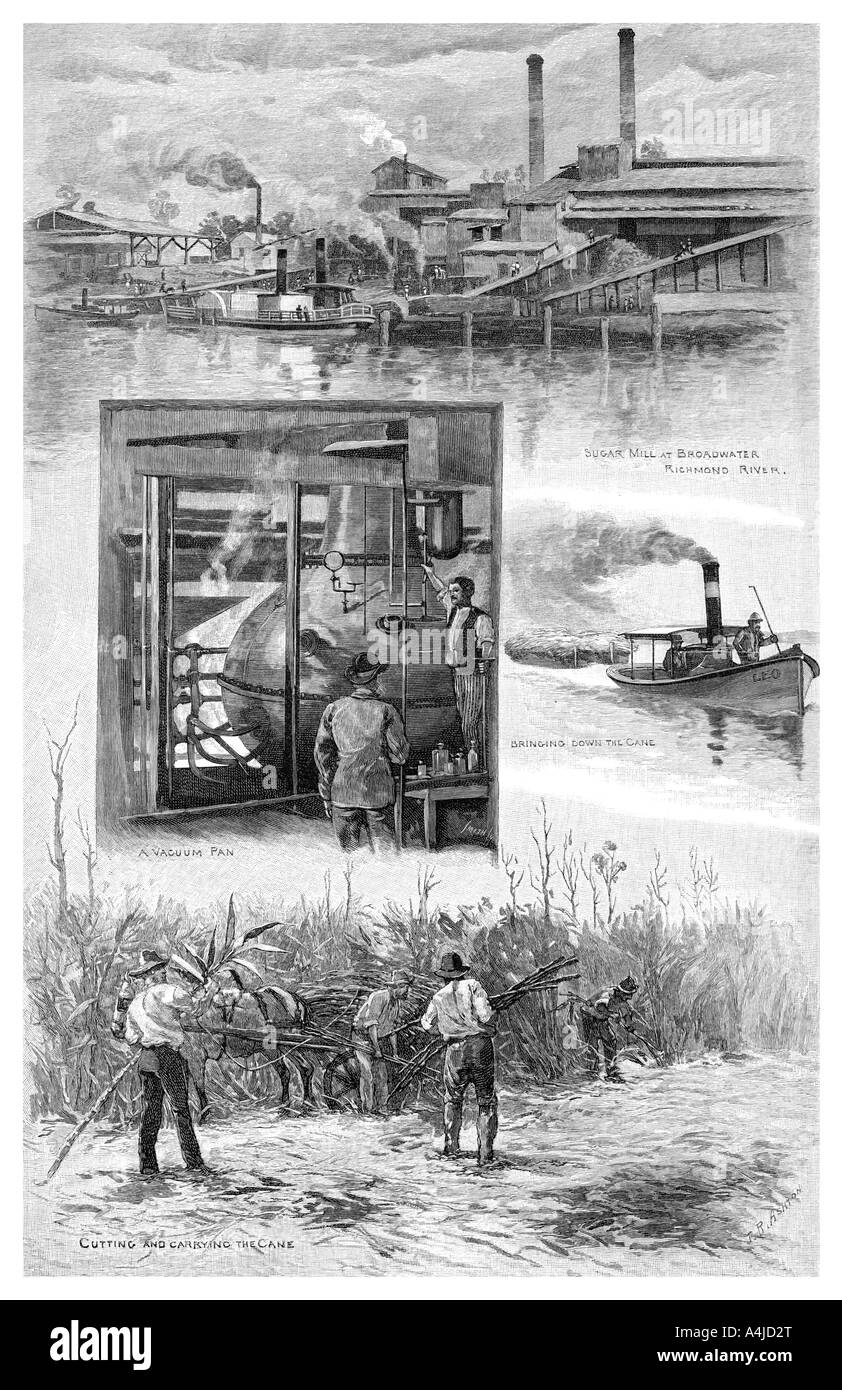 L'industrie du sucre, Richmond River, New South Wales, Australie, 1886.Artist : JR Ashton Banque D'Images